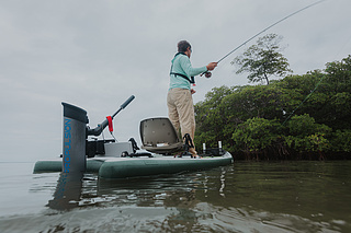 Moteur hors-bord eLite